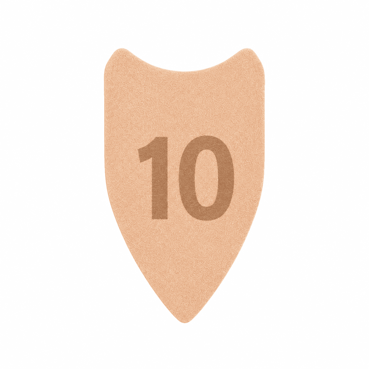 10 TAŚM